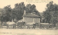 Attelages Gascons