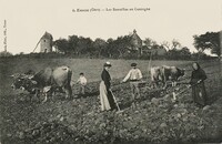 Les Semailles en Gascogne