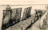 Ambulance d'Huitres