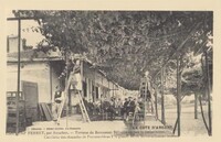 Lège-Cap-Ferret - La Cote D'Argent