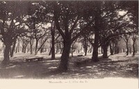 L'Allée des Ils