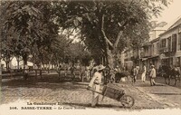 Cours Nolivos