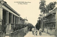 Le Champ D'arbaud
