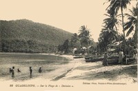 Deshaies - Sur la Plage de Deshaies