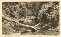 La Rivière -La Lézarde