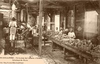 Fabrication des Conserves d'Ananas