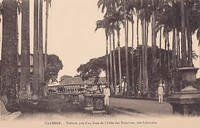 Tableau pris d'un banc de l'Allée des Palmistes - rue Lallouette