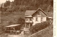 Pépinière de plantes d'intérieur 