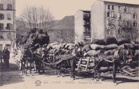 Transport du Charbon