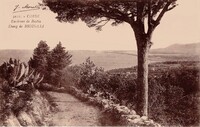 Biguglia - Etang
