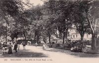 Une Allée du Grand Rond