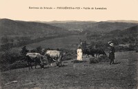 Frugières-le-Pin - Vallée de Lavaudieu