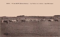 Vy-lès-Rupt - La Vallée de la Saône