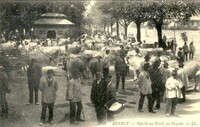 Marché au Bétail, au Paquier