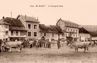 Rumilly - Le Champ de Foire