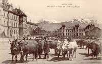 Place du Lycée. La Foire
