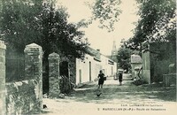 Marseillan - Route de Rabastens