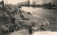 Villeneuve-la-Garenne - Les Berges de la Seine