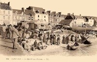 Cancale - Le Marché aux Poissons