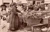 les marchandes de Légumes