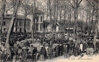 Marché des Bœufs