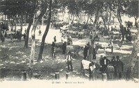 Marché aux Bœufs