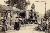 Le Dépiquage