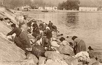 CORSE  -  2A_Ajaccio_Les Laveuses