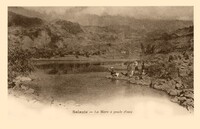 SALAZIE - La Mare à poule d'eau -Lavandière