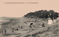 La Plage devant les Pins