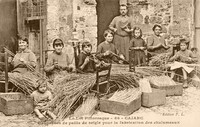 Coupeuses de paille de seigle pour la fabrication des Chalumeaux