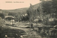 Les Rives du Lot