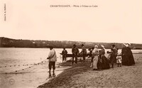 Champtoceaux - Pêche à L'Alose en Loire