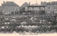 Chemillé-en-Anjou - Le Marché au Boeufs