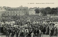 Marché au Bœufs , 1.748 têtes de bétail