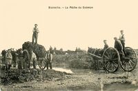 La Pêche du  Goémon