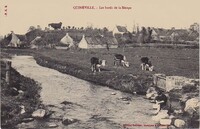 Quinéville - Les bords de la Sinope - Lavandière