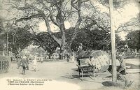 L'Enorme Sablier de la Savane