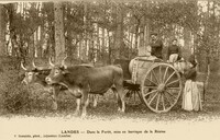 Barrique de Résine