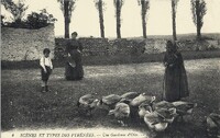 Gardeuses d'Oies