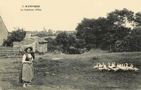 Gardeuses d'Oies