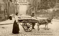 Marchande de Toiles Cirées 