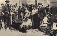 Marchand de Coquillages