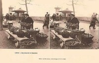 Marchande de Légumes 