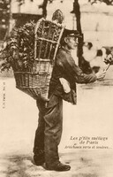 Marchand d'Artichauts 