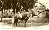 Meunière