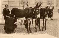 Marchand de Lait D'Anesses