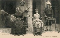 Travaille du Chanvre
