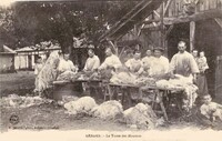 Tondeur de Mouton