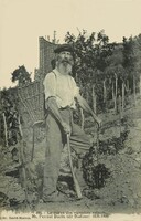 Vignerons